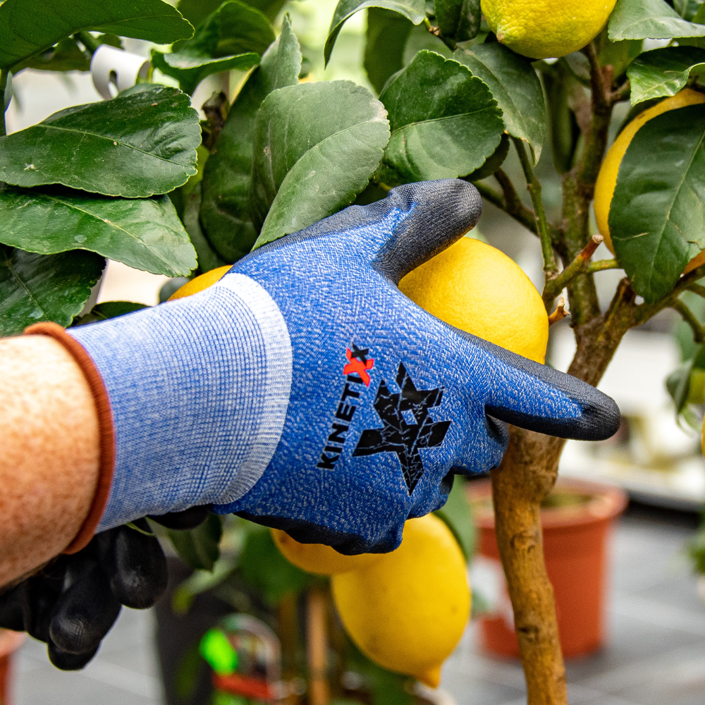 Kinetixx Touchscreen-fähige Arbeitshandschuhe X-Garden Tiefpreis