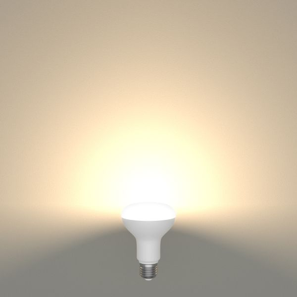 E27 LED Leuchtmittel, R80, 10 W, matt (Lichtfarbe wählbar) Cyber Monday