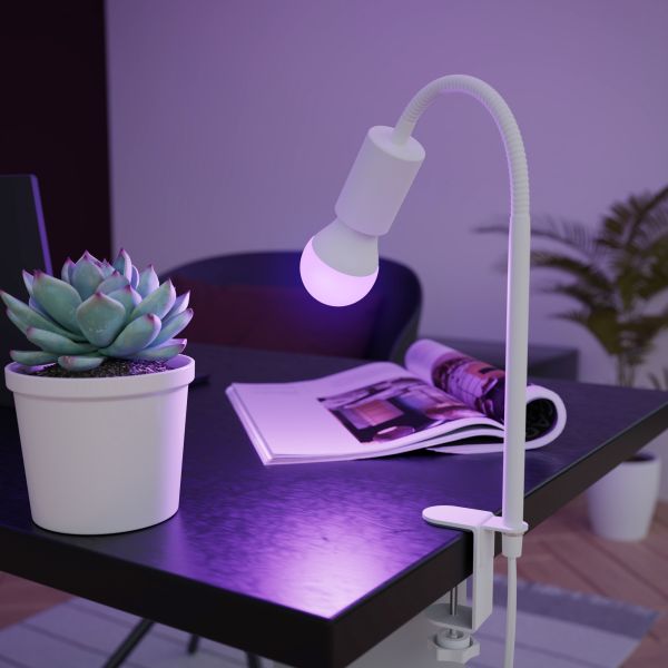 E27 LED RGB Leuchtmittel, A60, warmweiß - kaltweiß (3000 - 6500 K), 9,4 W, 892lm, Smart Home, WLAN, Alexa, matt Super Rabatt