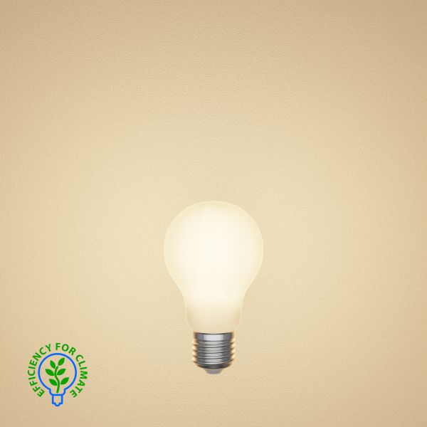E27 LED Leuchtmittel, A60, Energieeffizienzklasse A, gefrostet (Lichtfarbe wählbar) Kostenloser Versand international