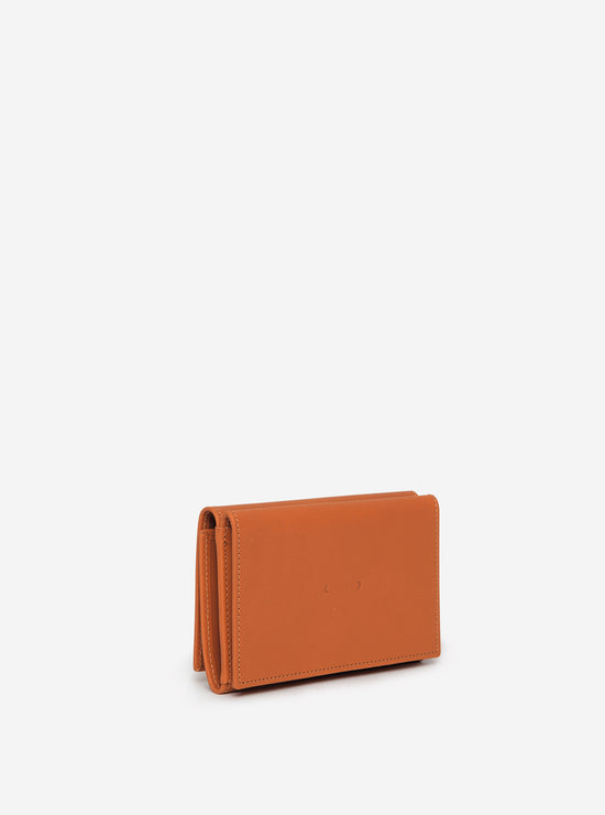 PB 0110 CM 34 Braun Cyber Monday