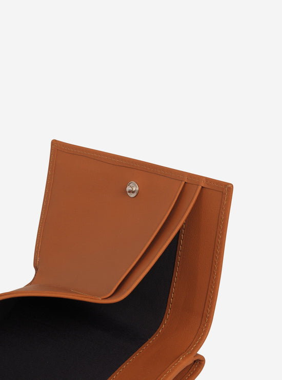 PB 0110 CM 34 Braun Cyber Monday